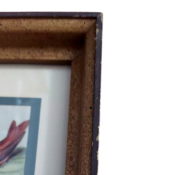 Framed John Gould Lithographs Hummingbird & Flowers Set Of 2 8x10 Vintage Birds - Picture 11 of 12